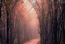 ecmarkets安盈官网安卓版下载链接是什么？