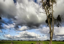 ecmarkets安盈平台官网入口在哪?