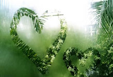 ecmarkets安盈官网安卓版下载链接是什么?